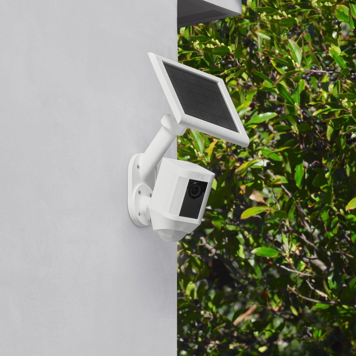Wall Mount for Solar Panels and Cameras - White Ring camera and solar panel mounted on wall, angled for optimal sun exposure and outdoor surveillance.
