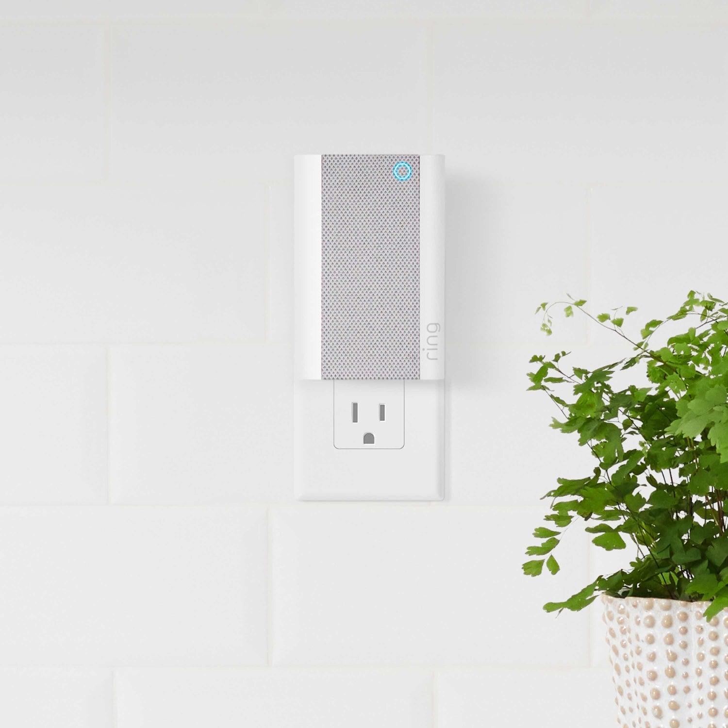 Chime Pro (Certified Refurbished) - Ring Chime Pro plugged into outlet on white brick wall, with a plant in a basket partially visible in foreground.