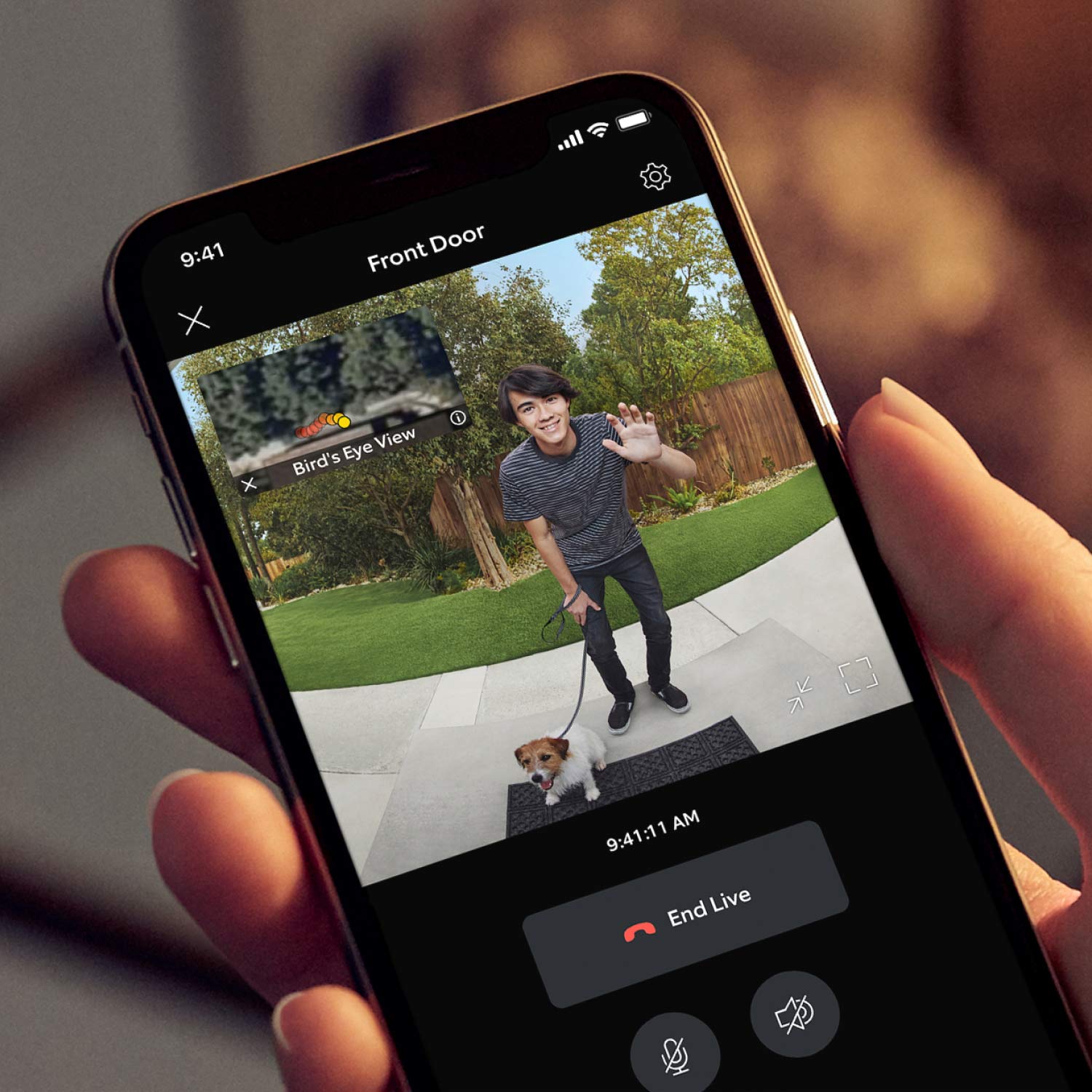 Wired Doorbell Pro - Close-up of hand holding smartphone, video shows smiling man with a dog. Inset is bird's eye view perspective.