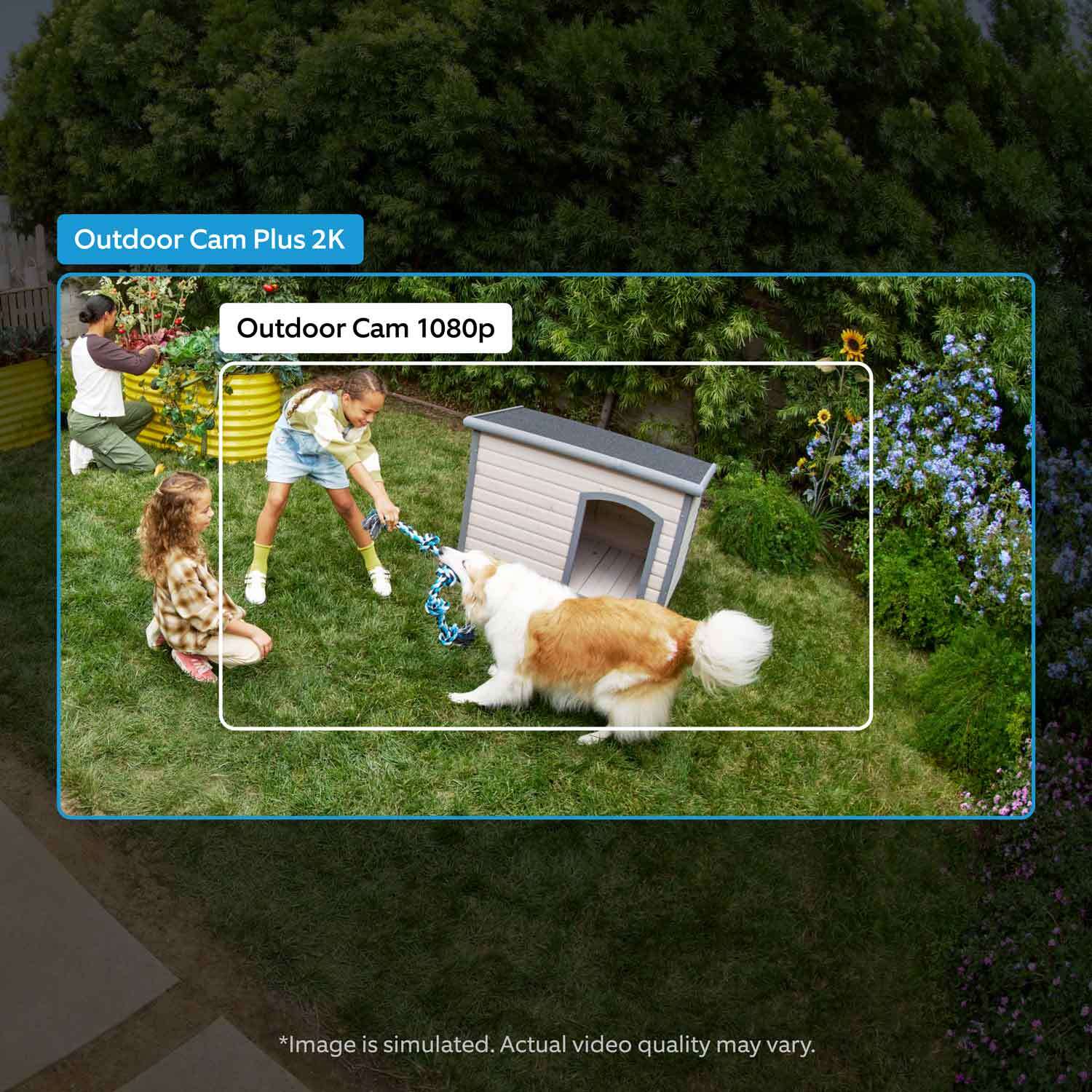 Outdoor Cam Plus (Featuring Retinal 2K)  - Plug-In:A girl playing tug-of-war with a dog shown in an outdoor cam 1080 p resolution in comparisson to outdoor cam plus 2k, which shows a wider field of view.
